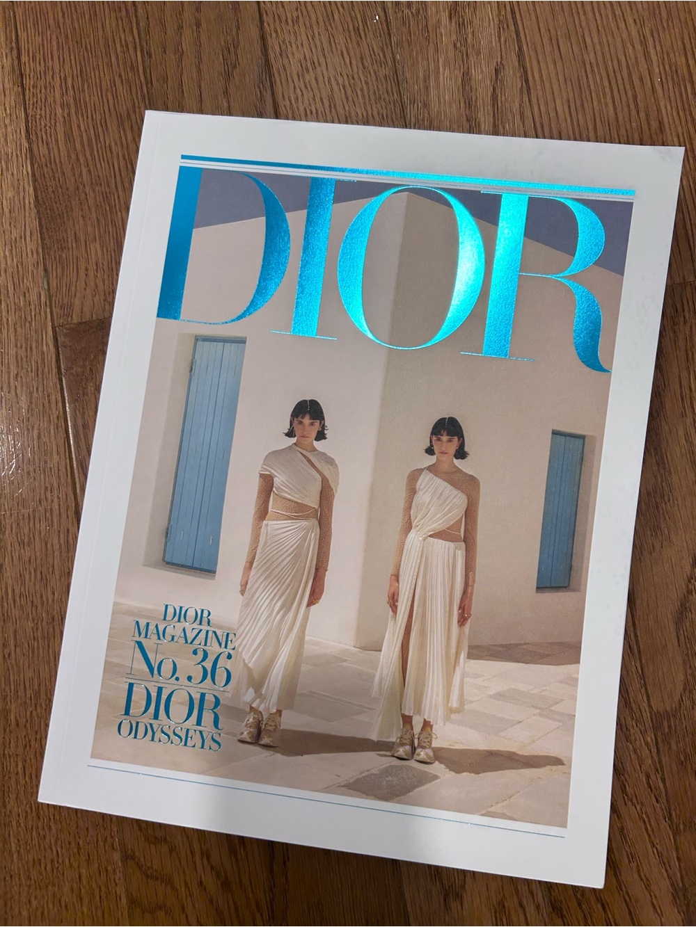 DIOR Fashion Book